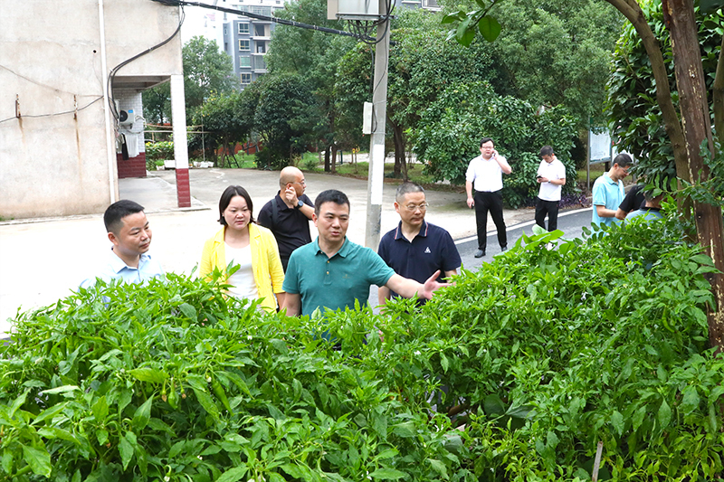 【動態(tài)】充分發(fā)揮職能職責 共創(chuàng)美好人居環(huán)境