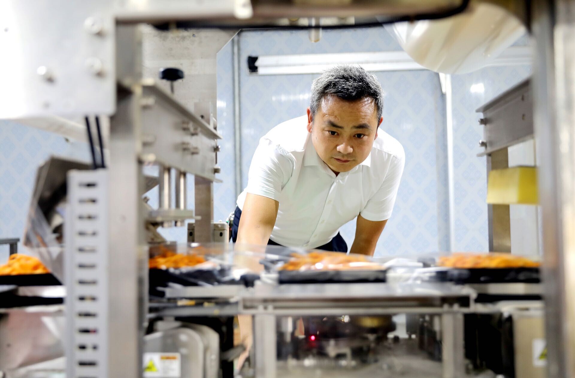 ​蒸湘观察｜从蒸湘田间地头到湾区餐桌 看“新农人”的蔬菜“出湘密码”