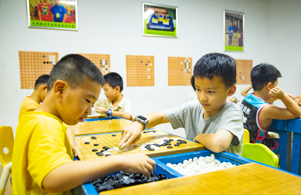 圖片新聞┃蒸湘區(qū)青少年樂享充實(shí)快樂的多彩暑假