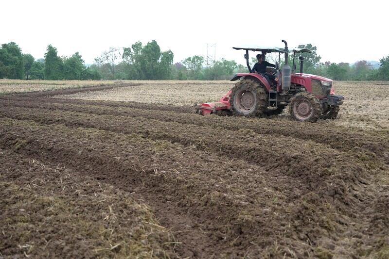 冬种正当时　油菜种植忙