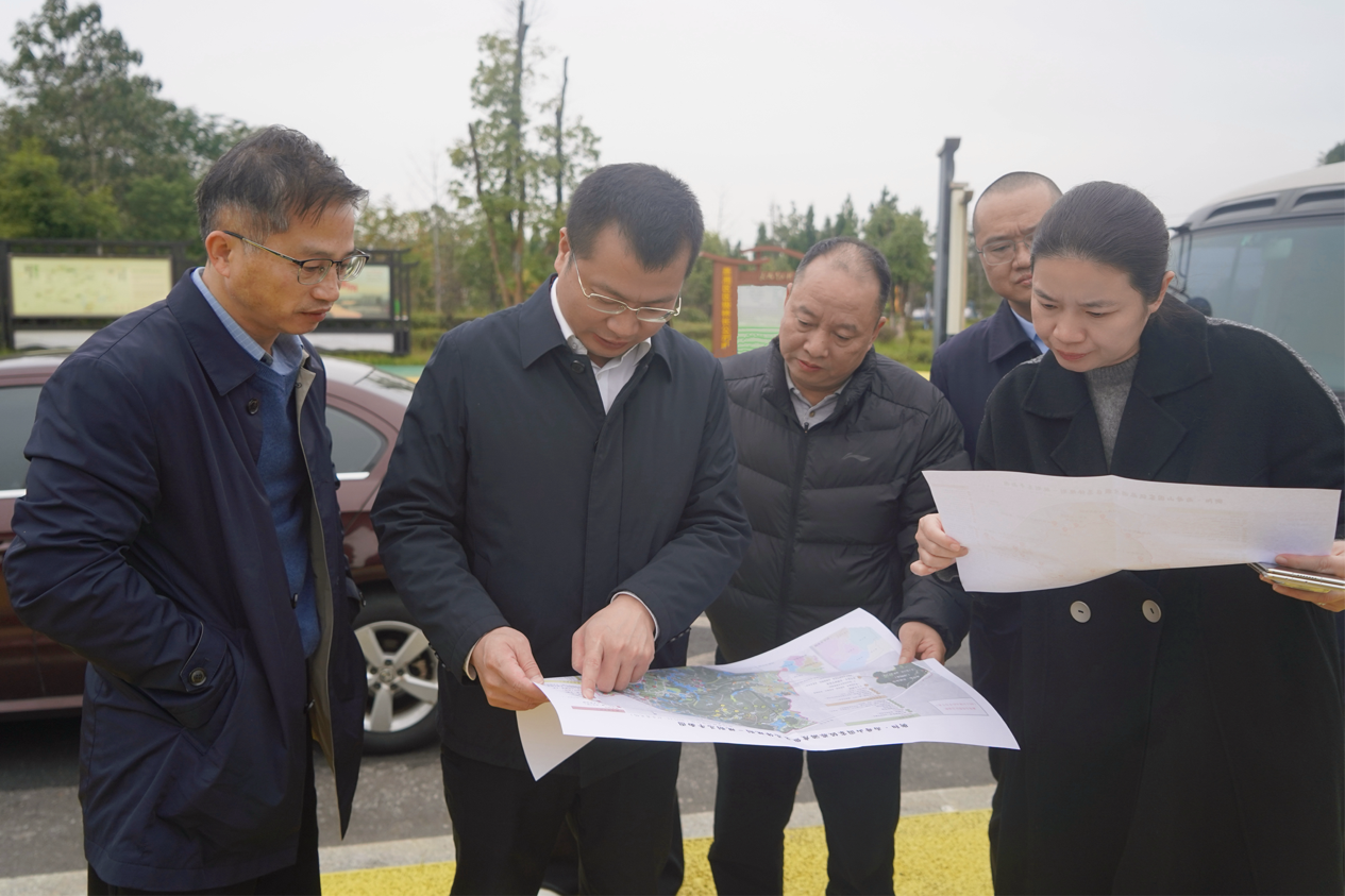 雕琢雨母好风光 绘就文旅新蓝图