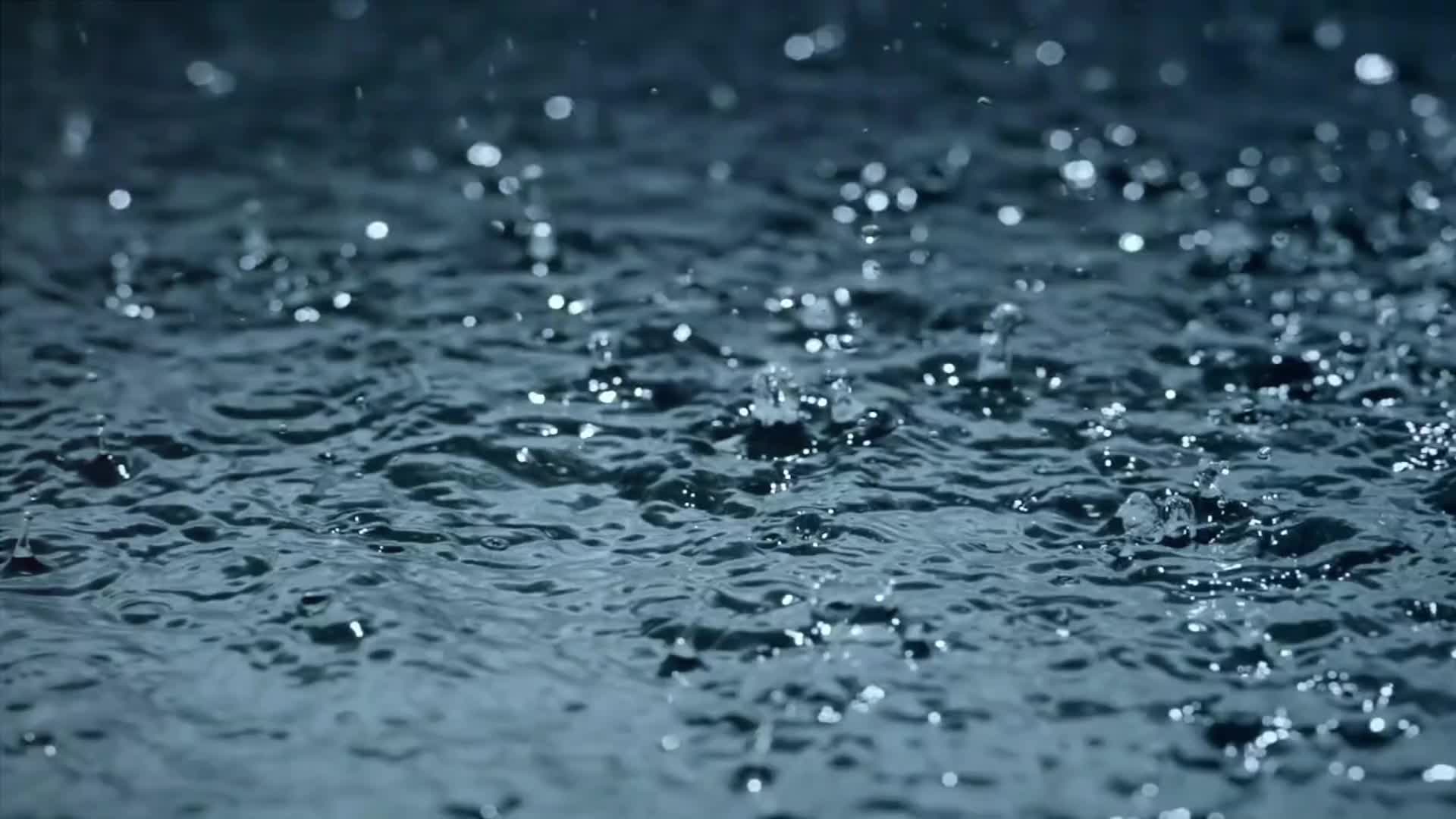 蒸湘公益小课堂⑱ | 暴雨应对小知识