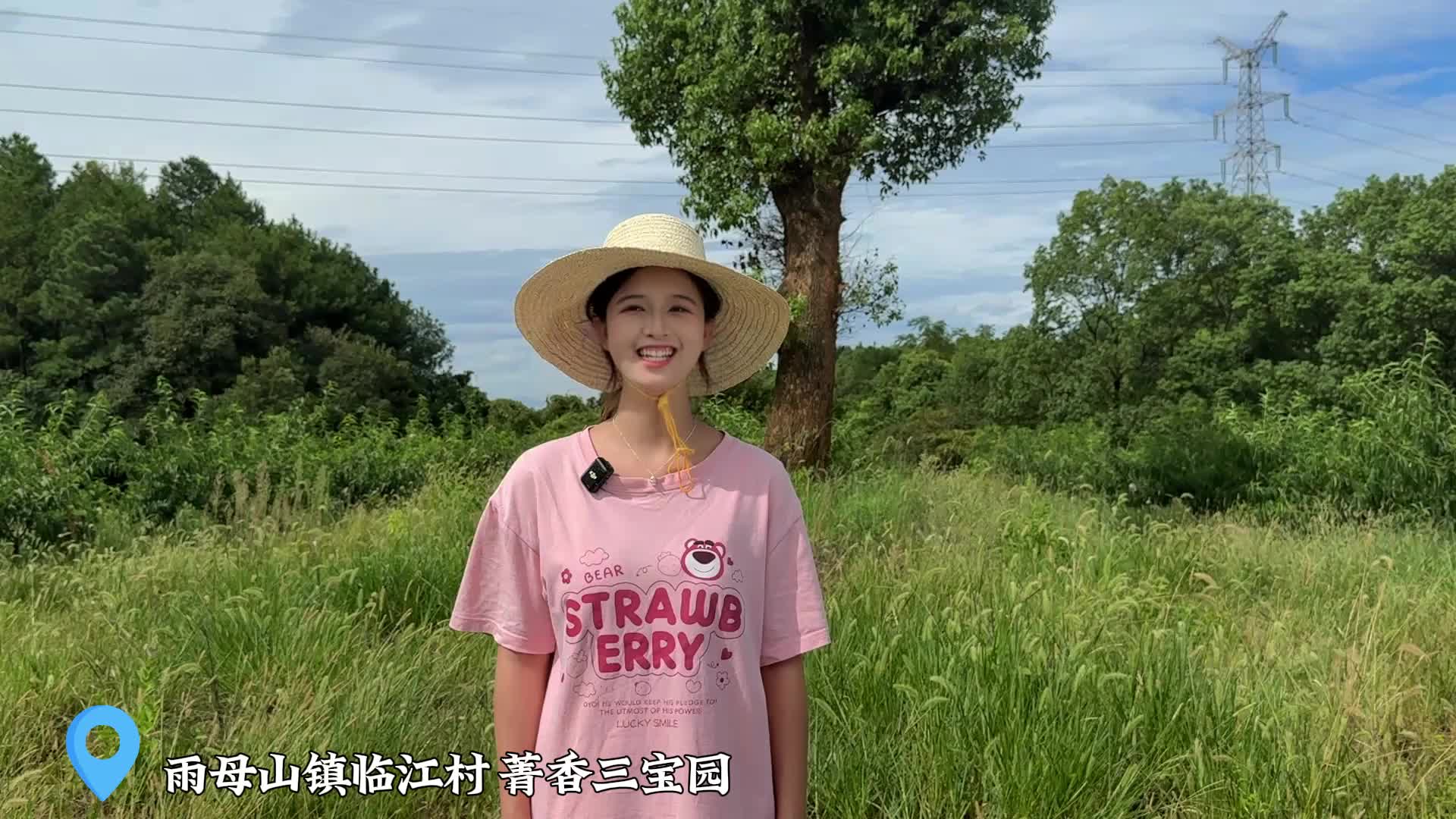 视频 | 八月秋鲜，蒸湘雨母菁香桃邀您共赴一场“甜蜜之约”
