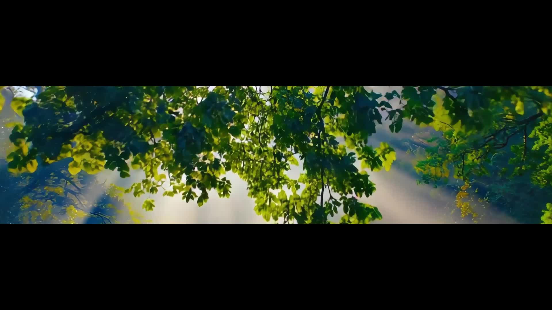 2026·元旦快乐！让我们与蒸湘一起，奔赴山海，共赴美好。